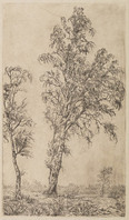 KG 1985 058
<br/>
Landschap met berken bij Koudhoorn, Veluwe
<br/>
<em>Graaf, Frederik de (1871-1930)</em>